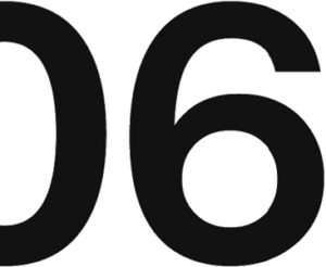 06